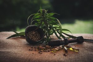 De wonderen van CBD olie: gezondheidsvoordelen en toepassingen